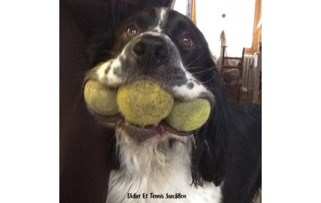 Animation arbitrage 2